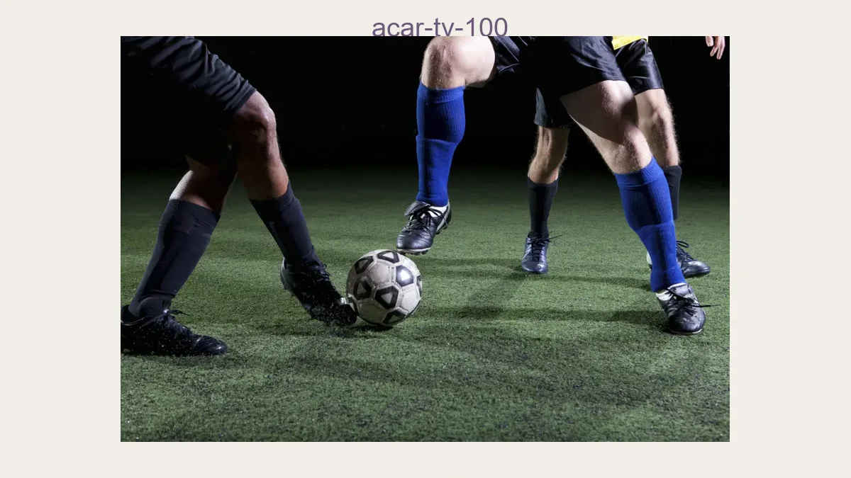 Acar tv 100