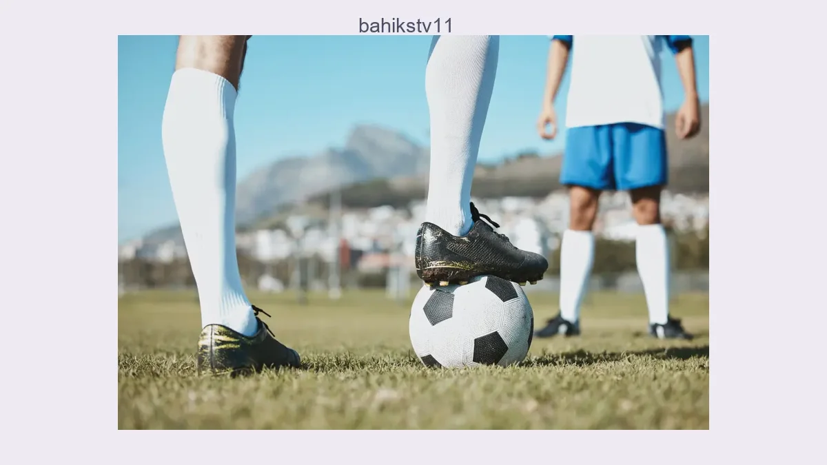 Bahikstv11