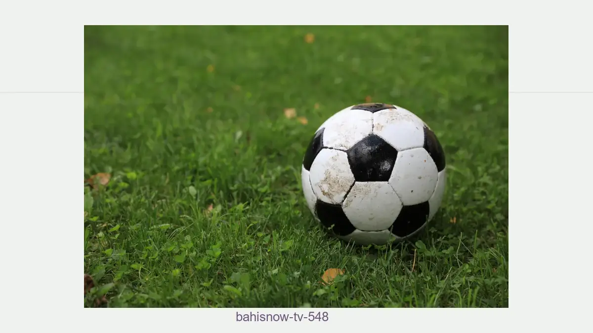 Bahisnow tv 548