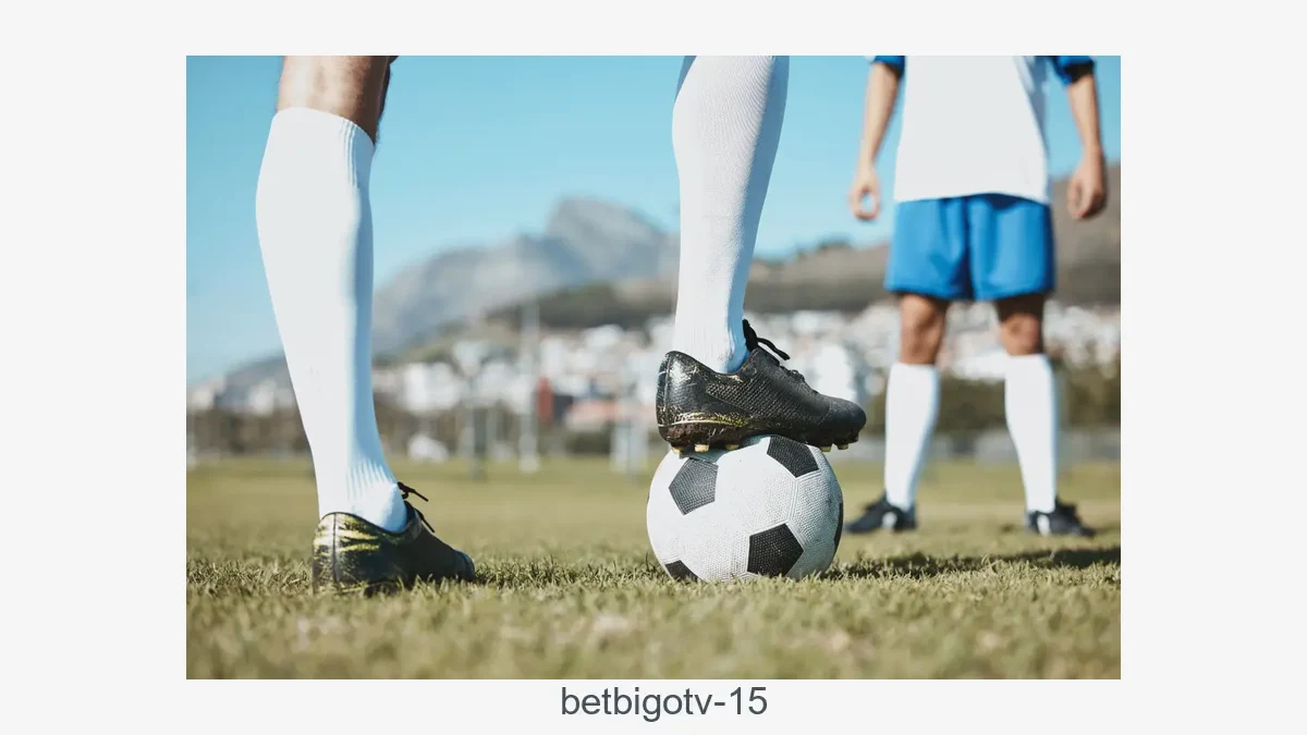 Betbigotv 15