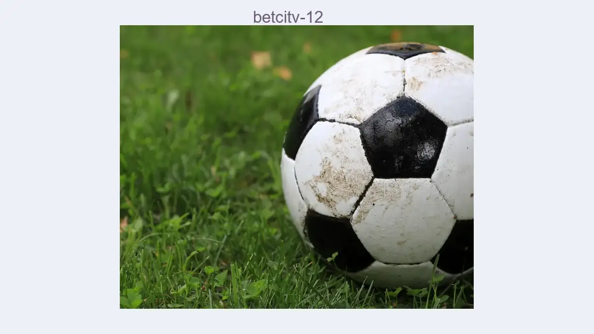 Betcitv 12