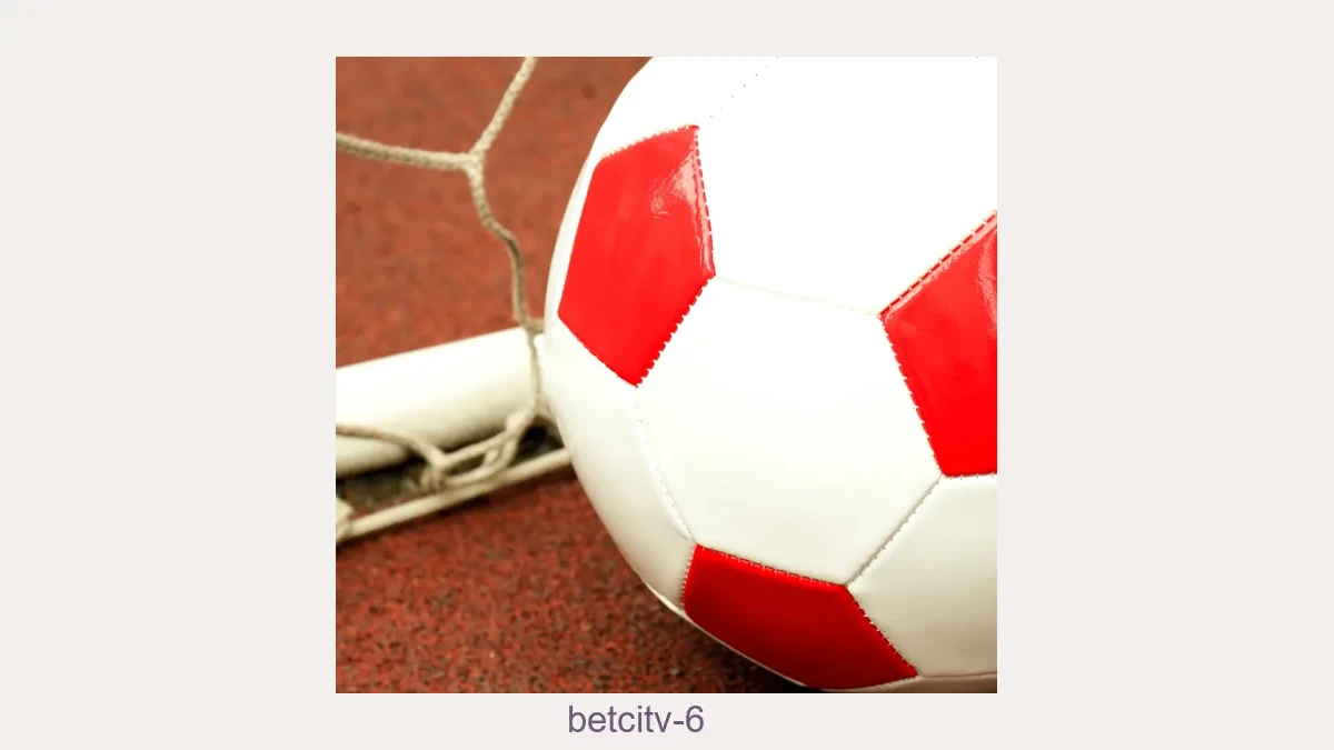 Betcitv 6