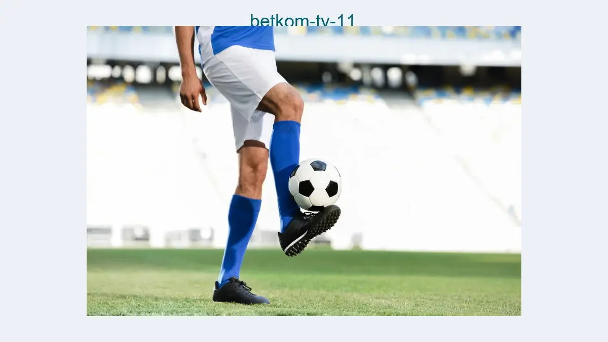 Betkom tv 11