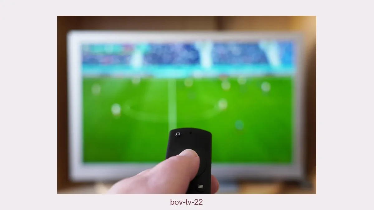 Bov tv 22