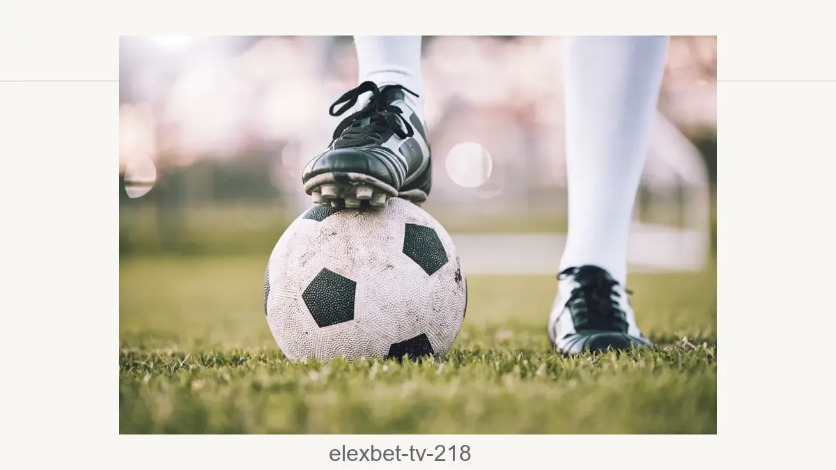 Elexbet tv 218
