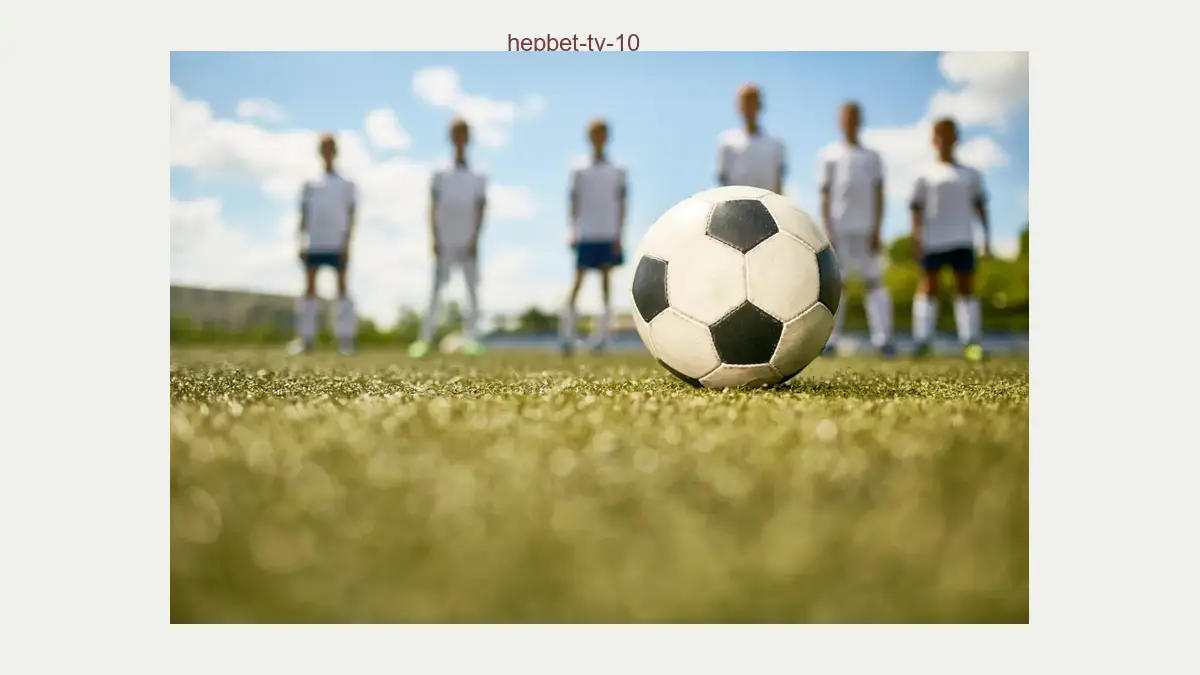 Hepbet tv 10