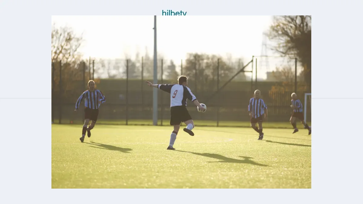 Hilbetv
