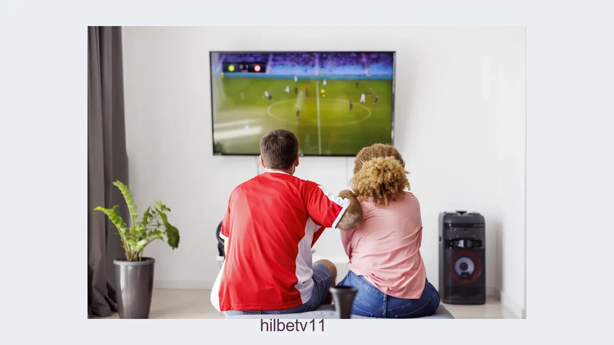 Hilbetv11