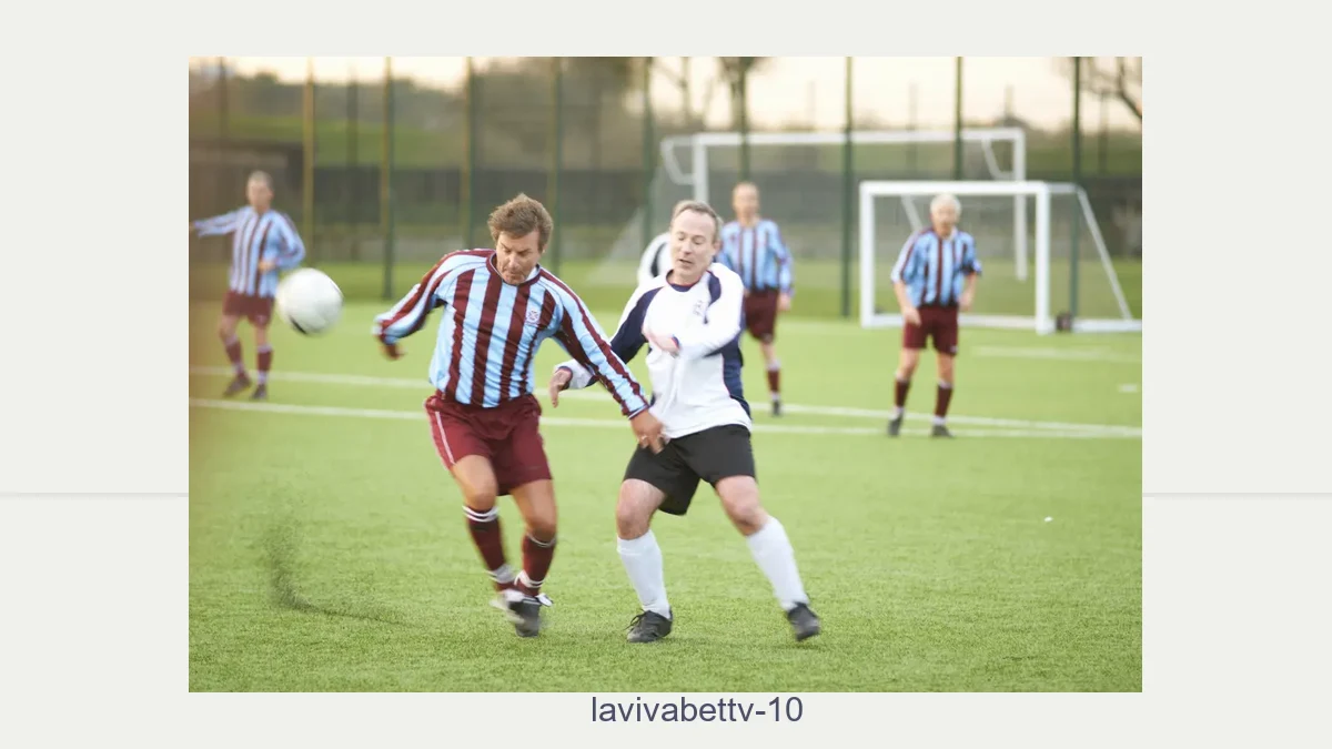 Lavivabettv 10