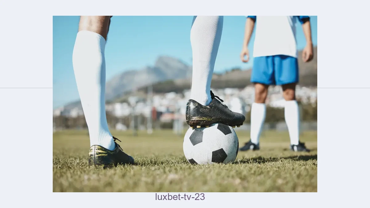 Luxbet tv 23