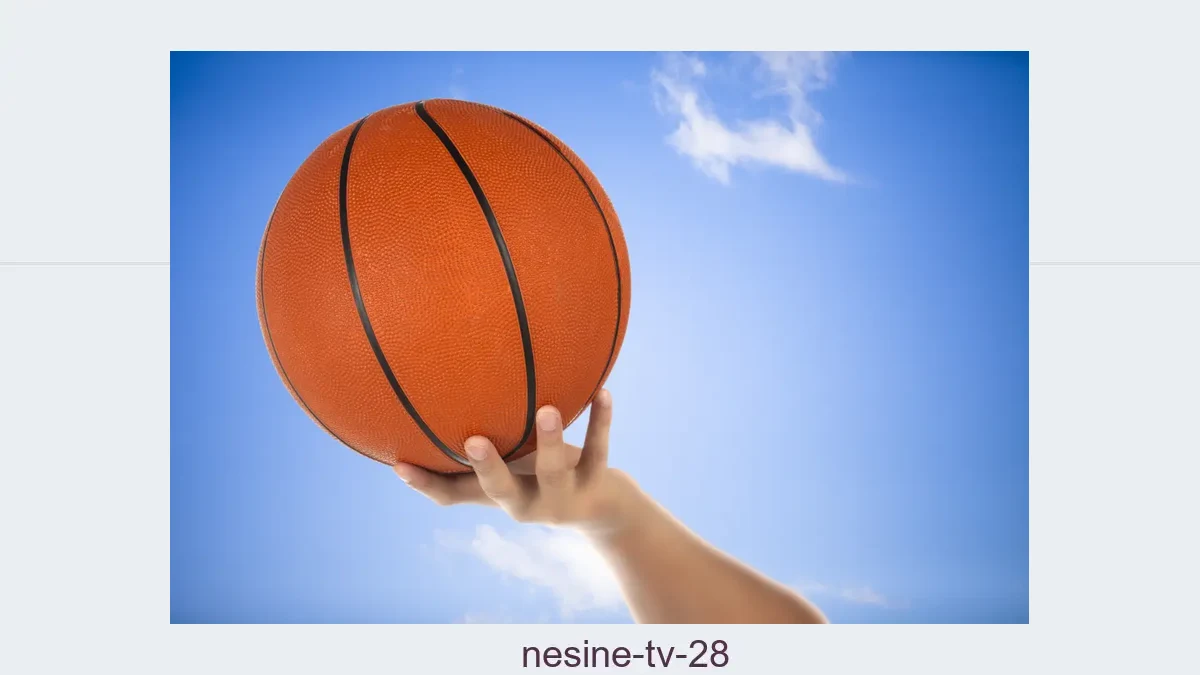 Nesine tv 28