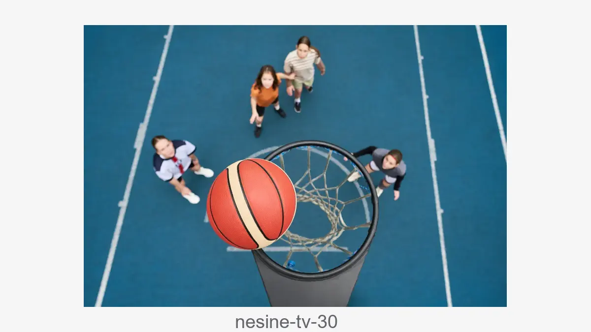 Nesine tv 30