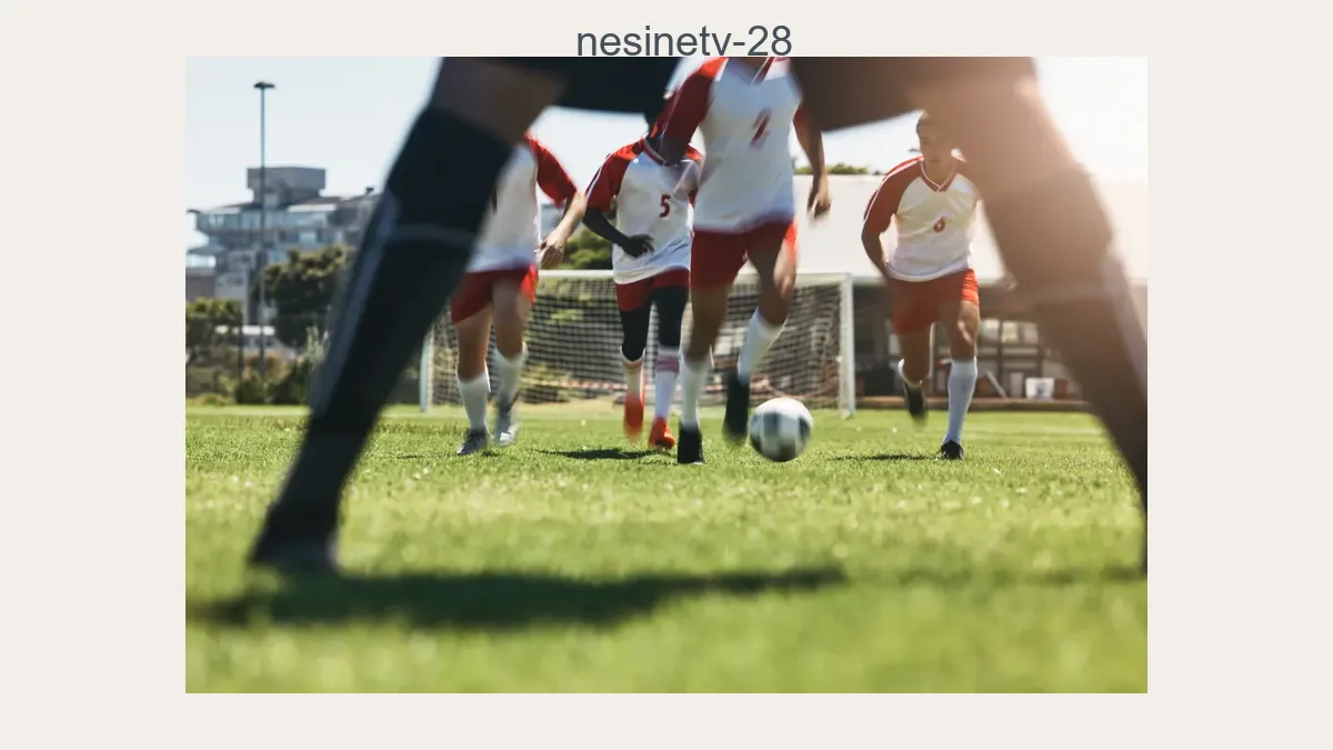 Nesinetv 28
