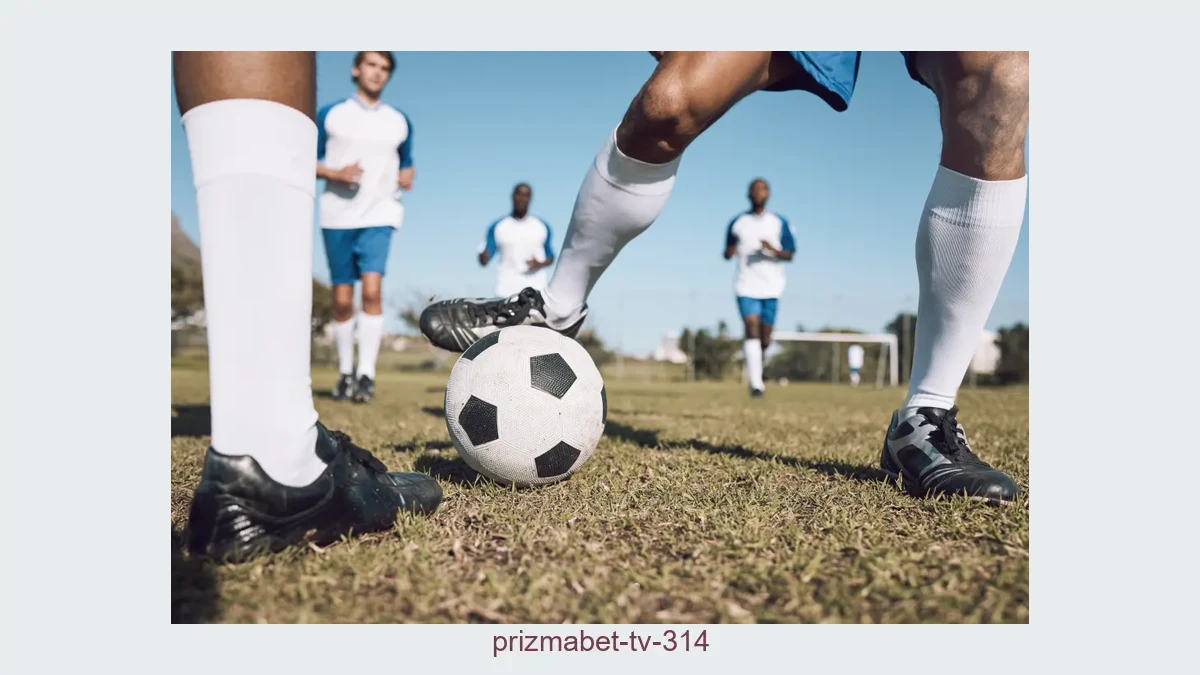 Prizmabet tv 314