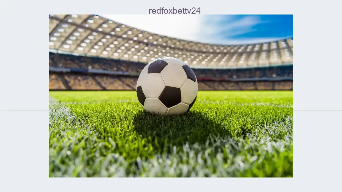 Redfoxbettv24