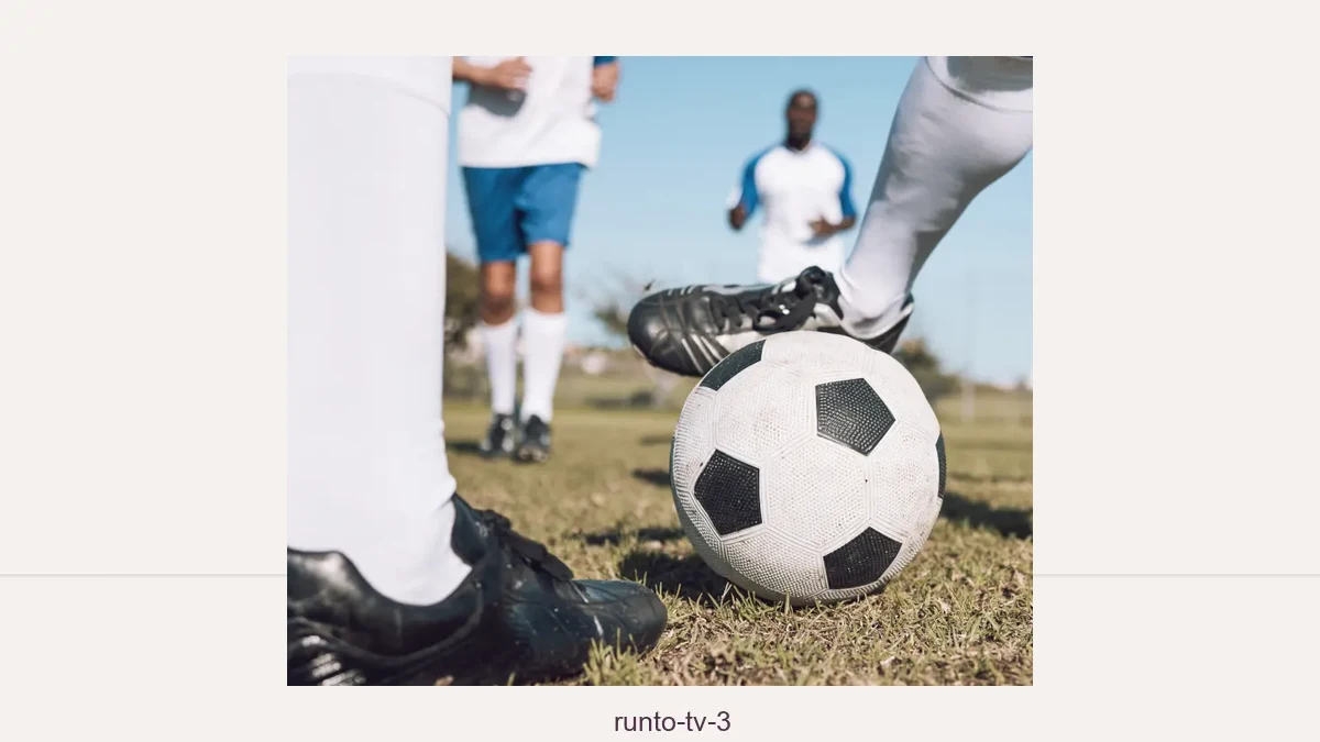 Runto tv 3