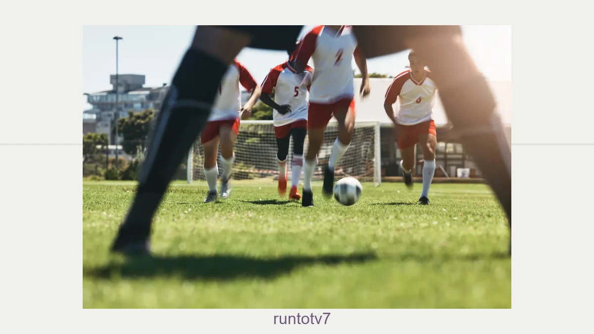 Runtotv7