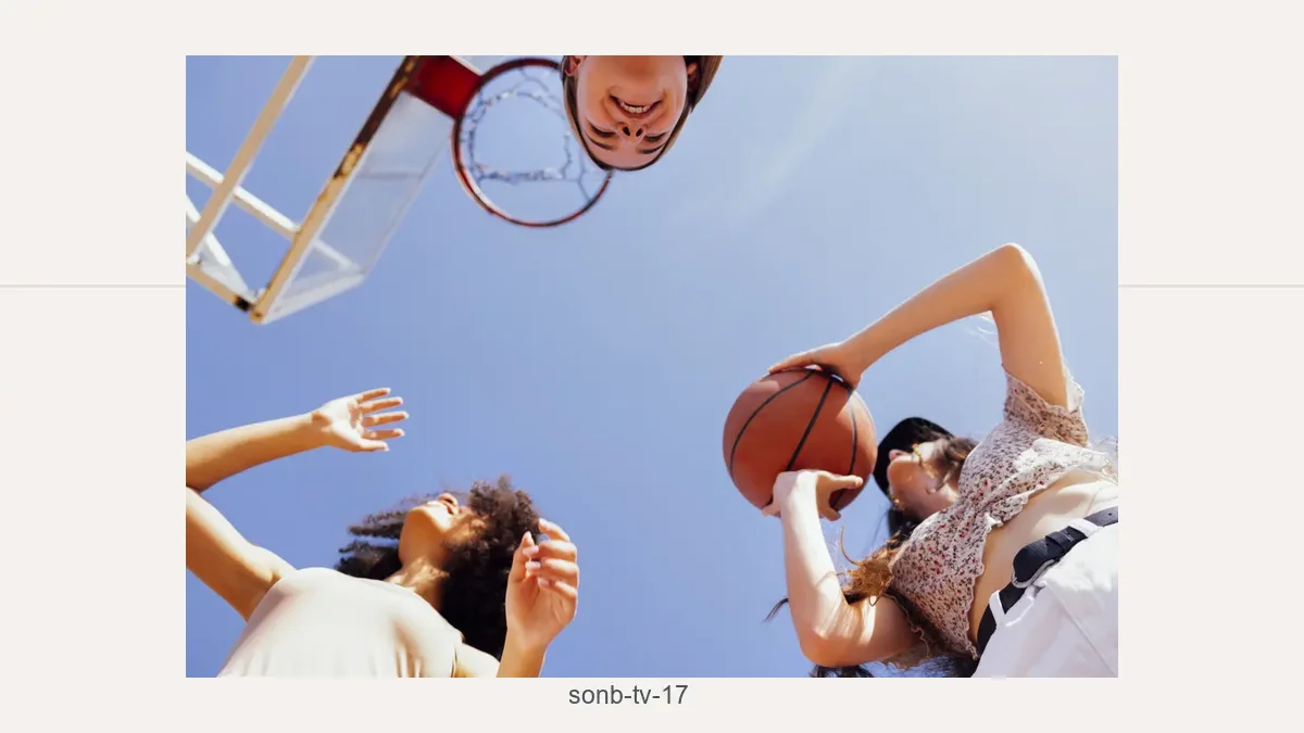Sonb tv 17