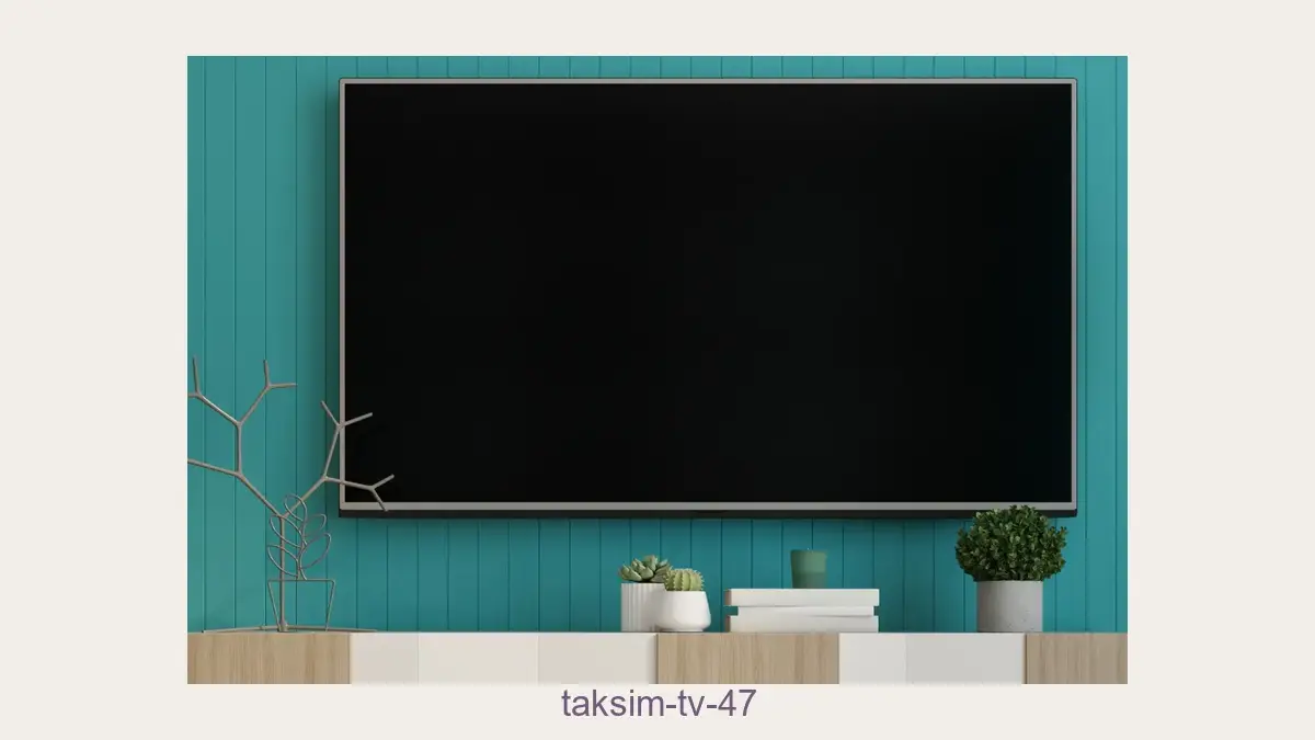 Taksim tv 47