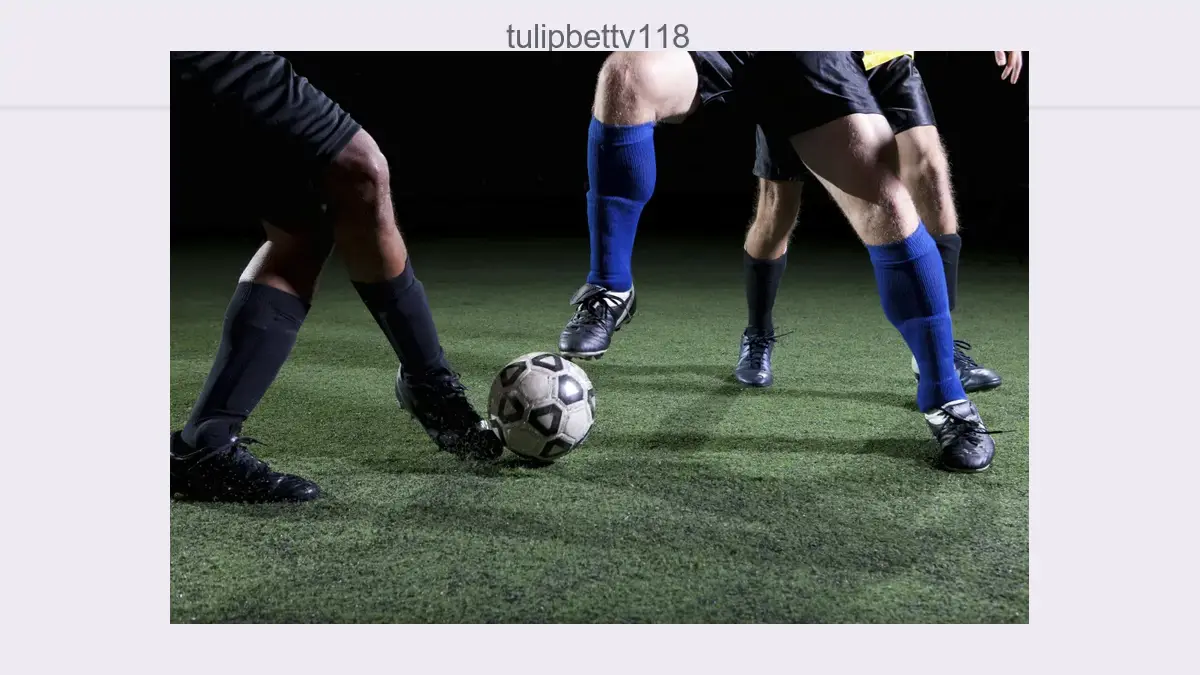 Tulipbettv118