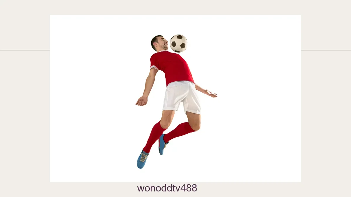 Wonoddtv488