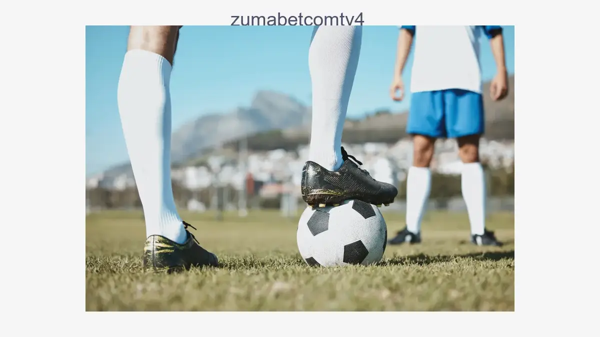 Zumabetcomtv4
